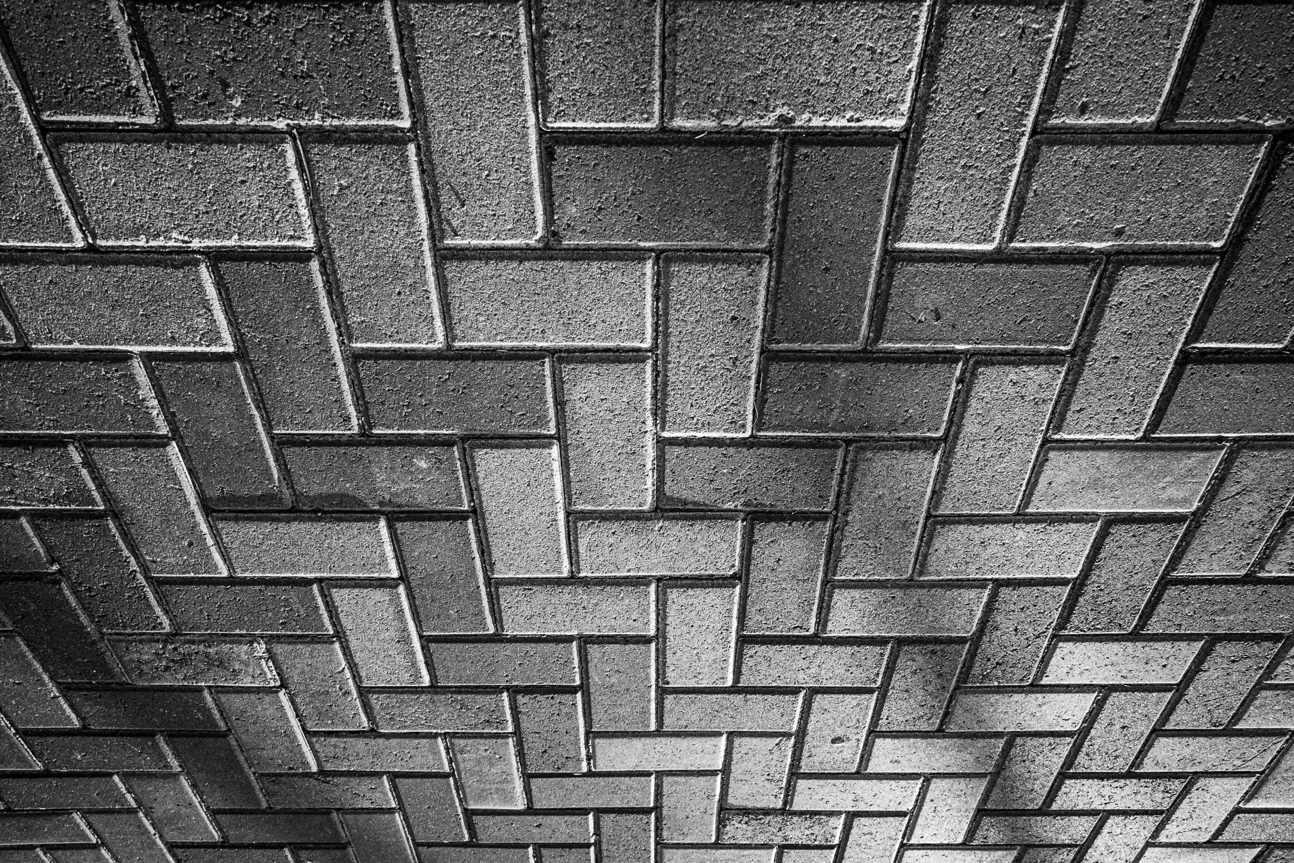 pexels-alex-dos-santos-305643819-33968588